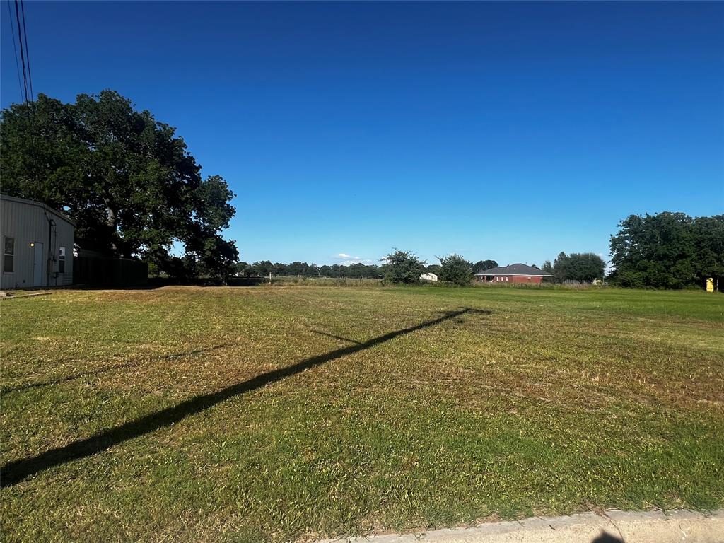 TBD Cactus St, Giddings, Texas image 6