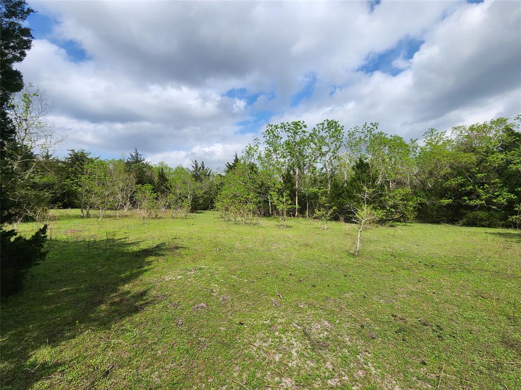 TBD County Road 79, Rosharon, Texas image 8