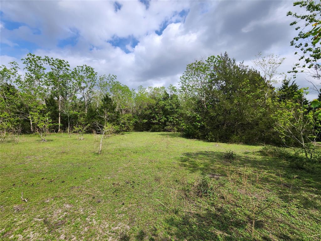 TBD County Road 79, Rosharon, Texas image 9