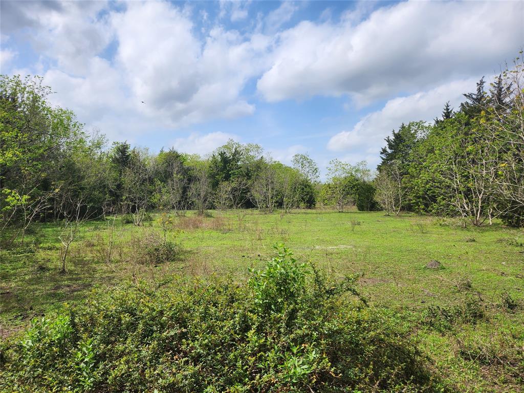 TBD County Road 79, Rosharon, Texas image 2