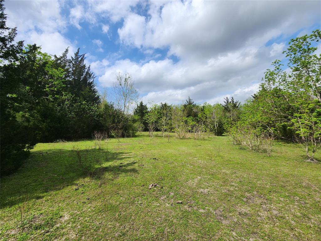 TBD County Road 79, Rosharon, Texas image 5