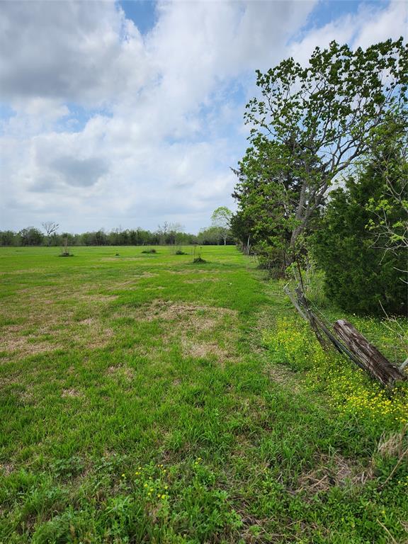 TBD County Road 79, Rosharon, Texas image 7