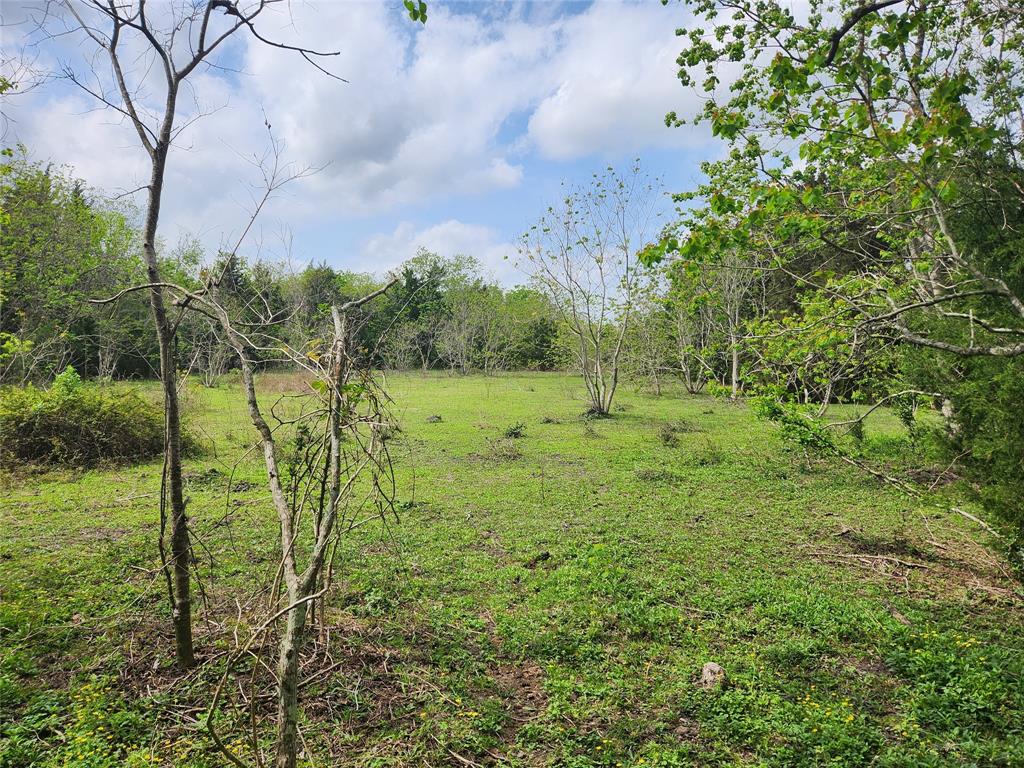 TBD County Road 79, Rosharon, Texas image 4