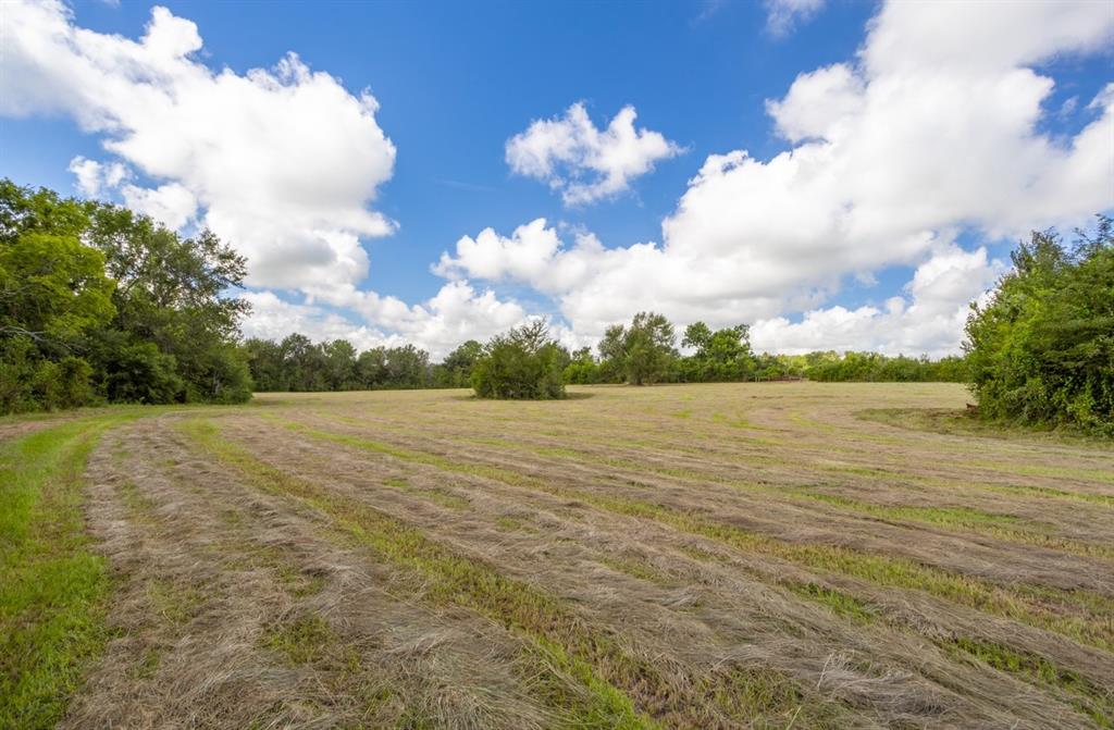 TBD Brown College Lane, Washington, Texas image 10