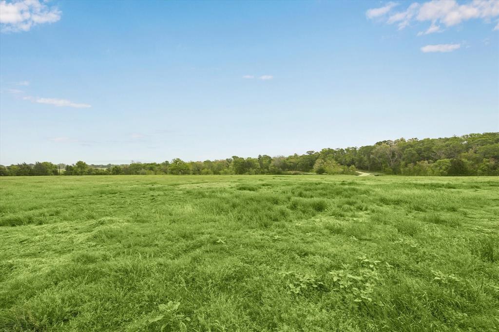 4431 Old Navasota Rd, Brenham, Texas image 12