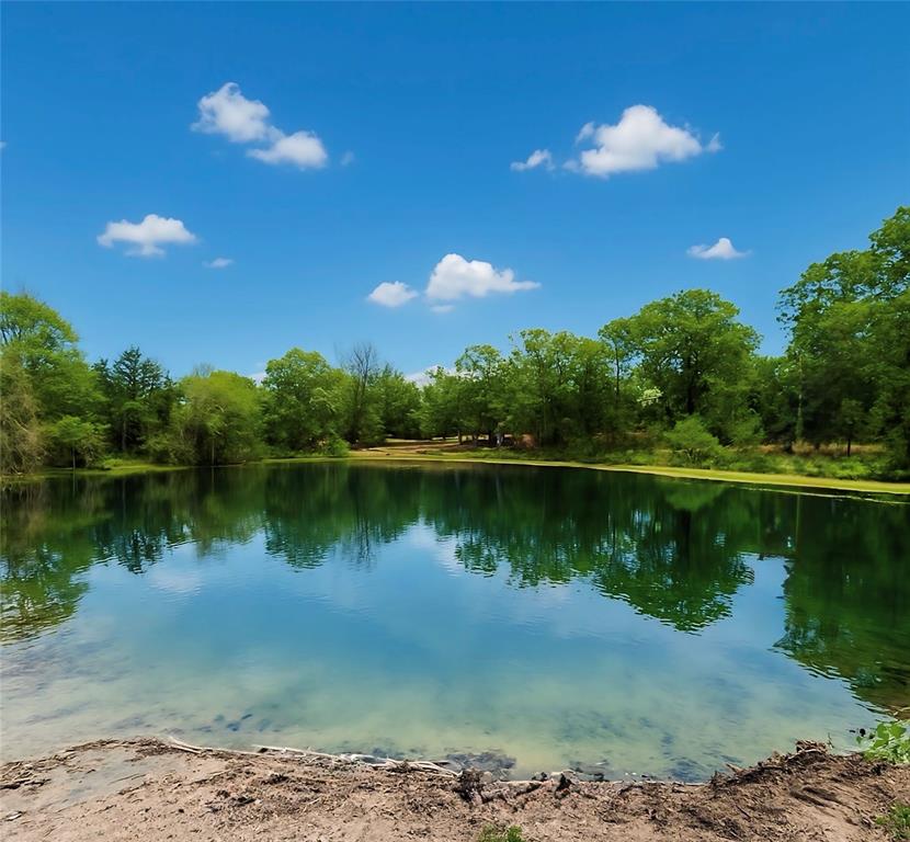 4431 Old Navasota Rd, Brenham, Texas image 2
