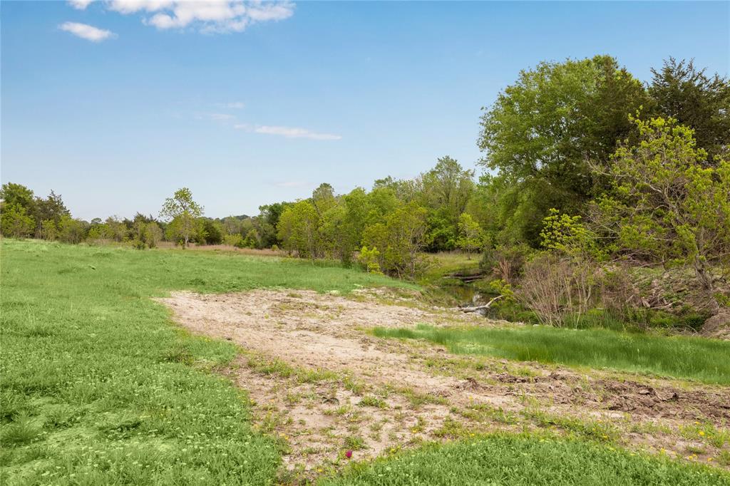 4431 Old Navasota Rd, Brenham, Texas image 9