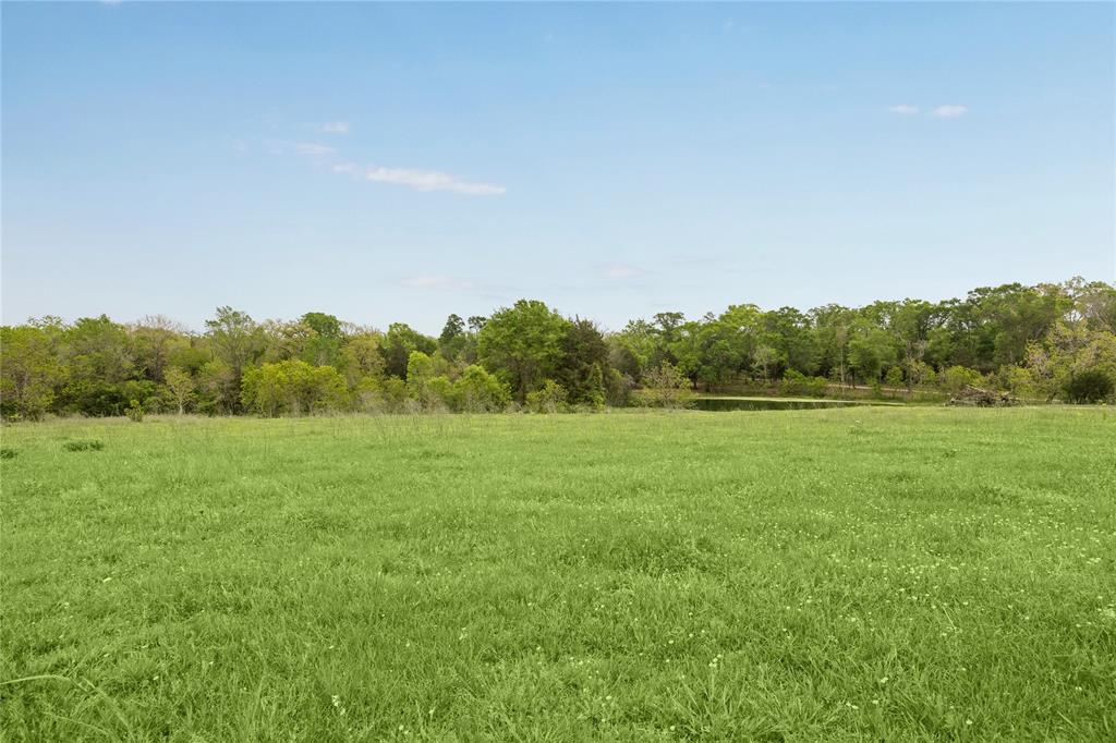4431 Old Navasota Rd, Brenham, Texas image 7