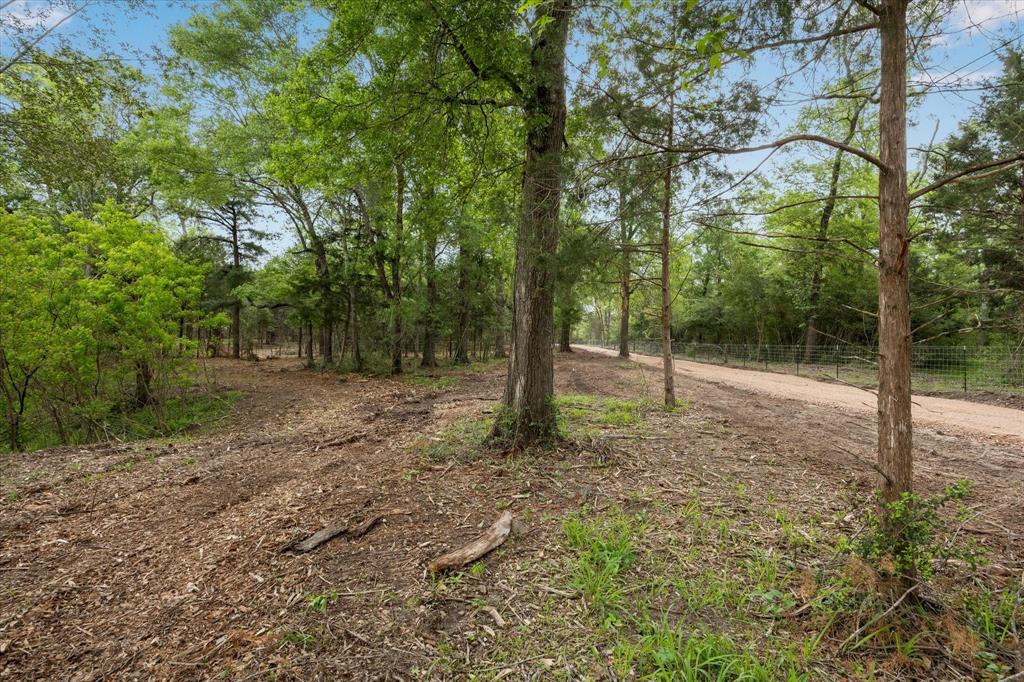 4431 Old Navasota Rd, Brenham, Texas image 17