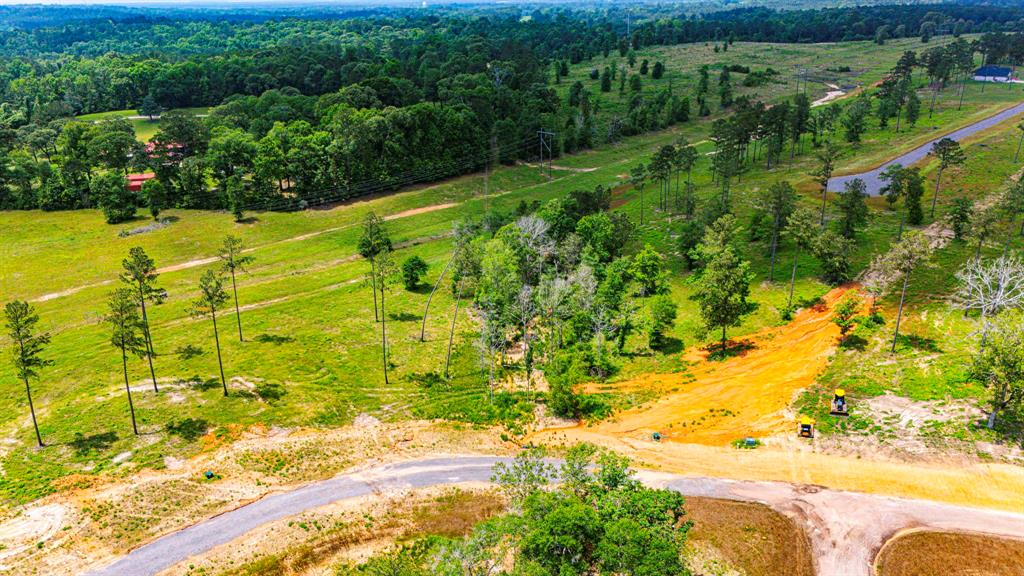 TBD Addison Road, Livingston, Texas image 16