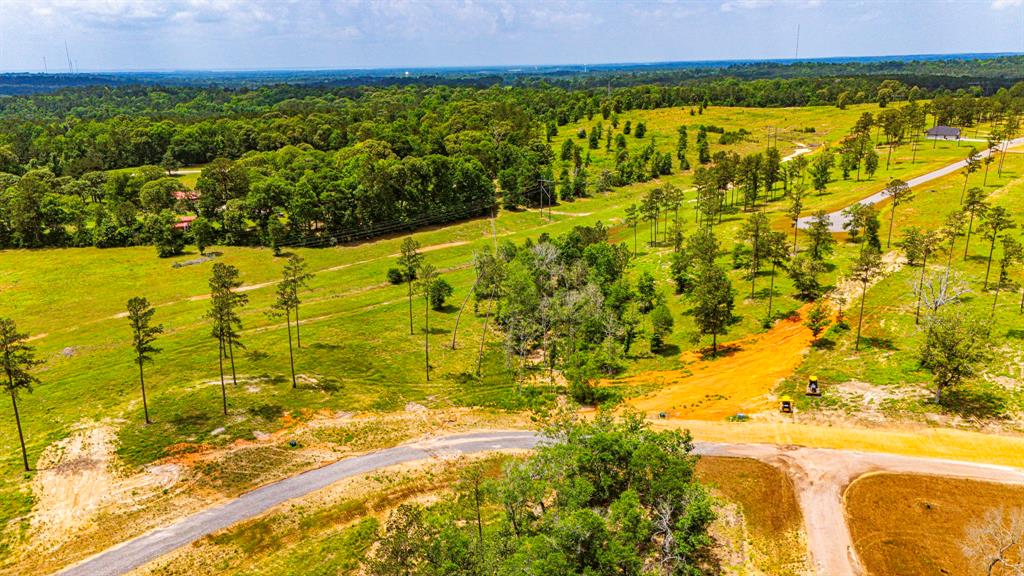 TBD Addison Road, Livingston, Texas image 20