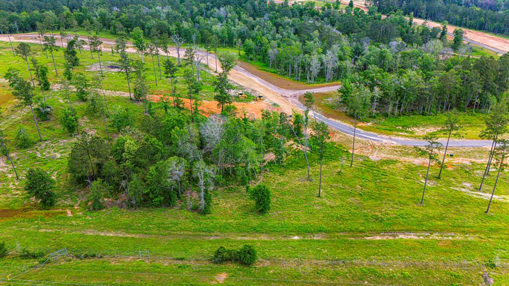 TBD Addison Road, Livingston, Texas image 11