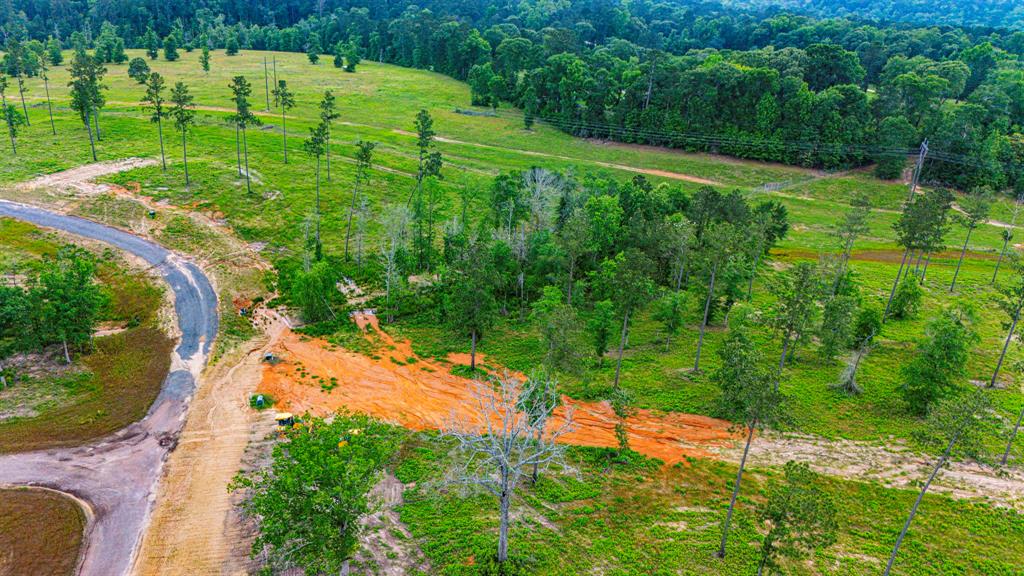 TBD Addison Road, Livingston, Texas image 4