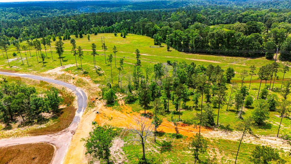 TBD Addison Road, Livingston, Texas image 19