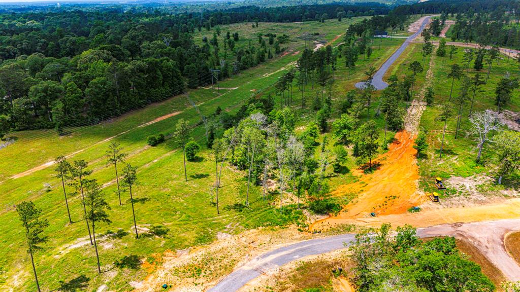 TBD Addison Road, Livingston, Texas image 15