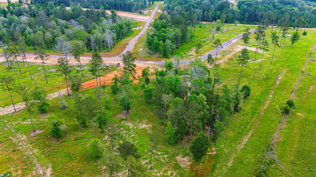 TBD Addison Road, Livingston, Texas image 7