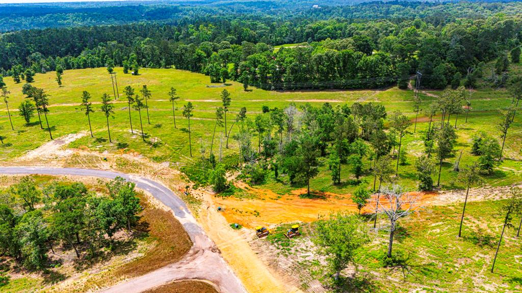 TBD Addison Road, Livingston, Texas image 18