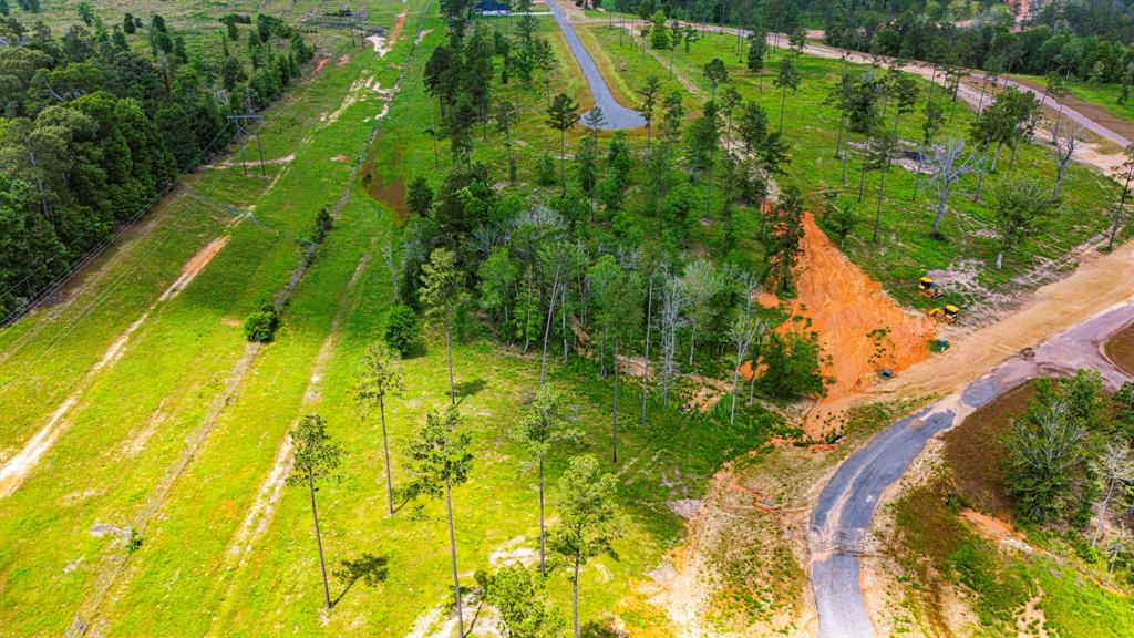 TBD Addison Road, Livingston, Texas image 13