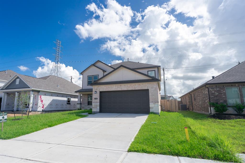 3502 Windmill Palm
