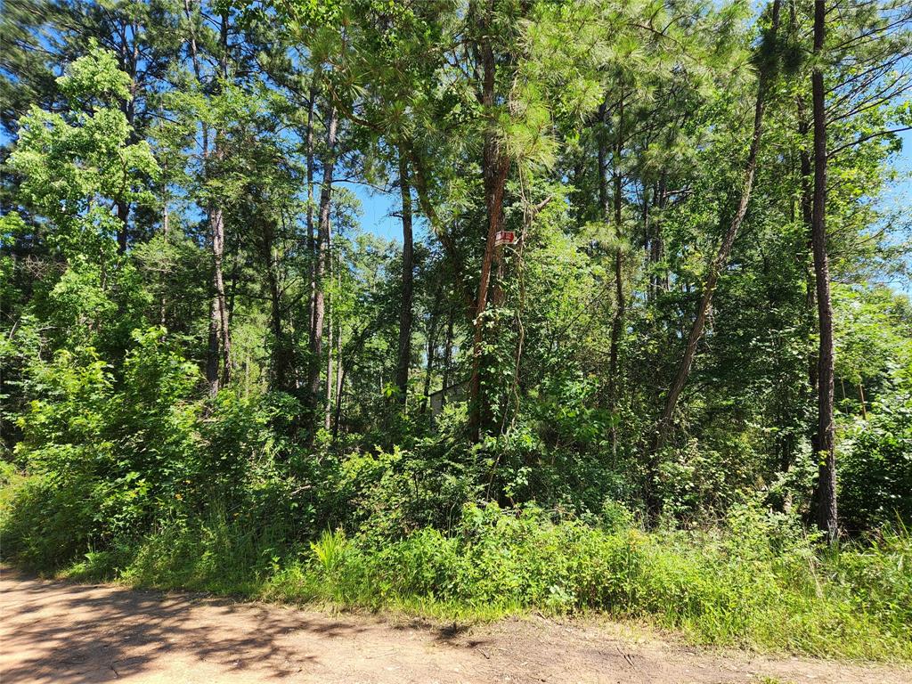 Lot 10 Cypress Court, Plantersville, Texas image 9