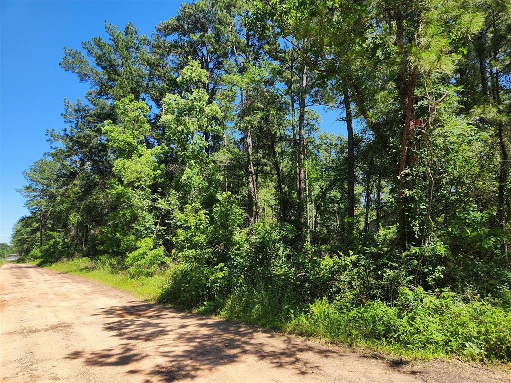 Lot 10 Cypress Court, Plantersville, Texas image 8