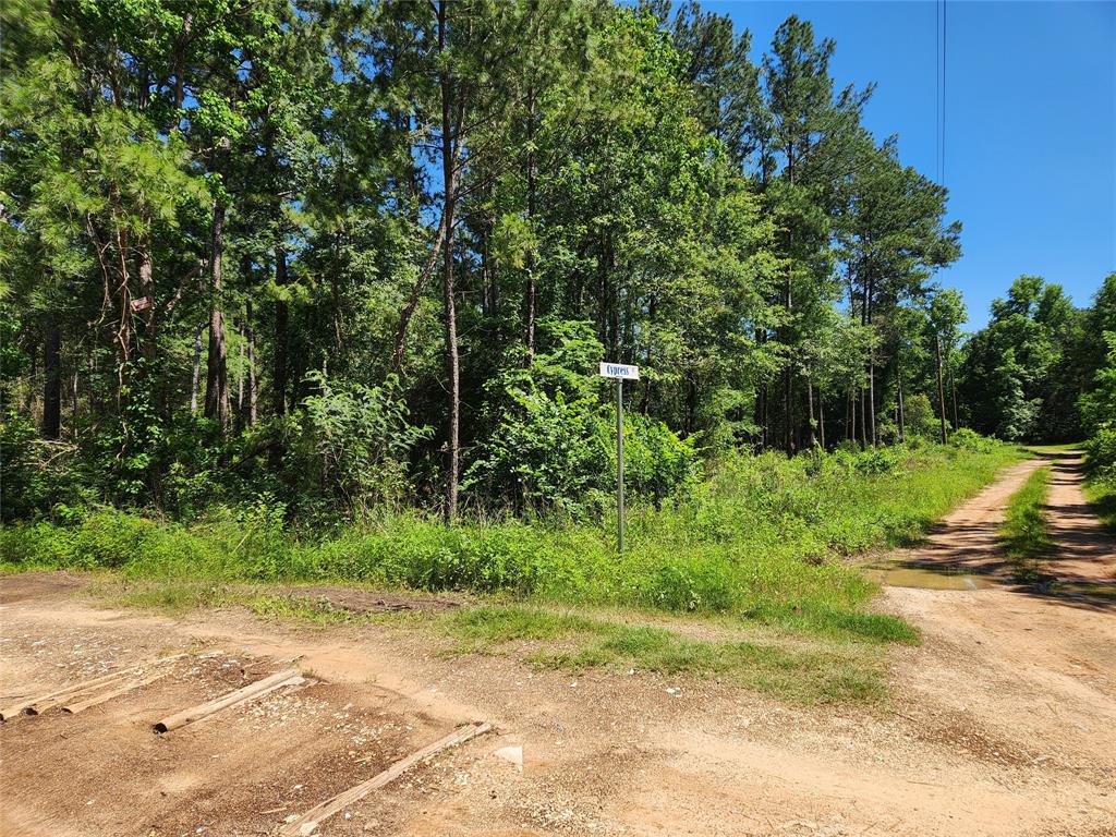 Lot 10 Cypress Court, Plantersville, Texas image 4