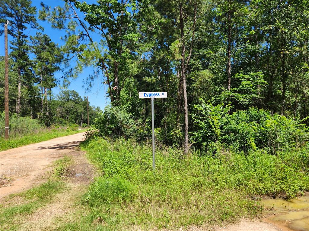 Lot 10 Cypress Court, Plantersville, Texas image 7