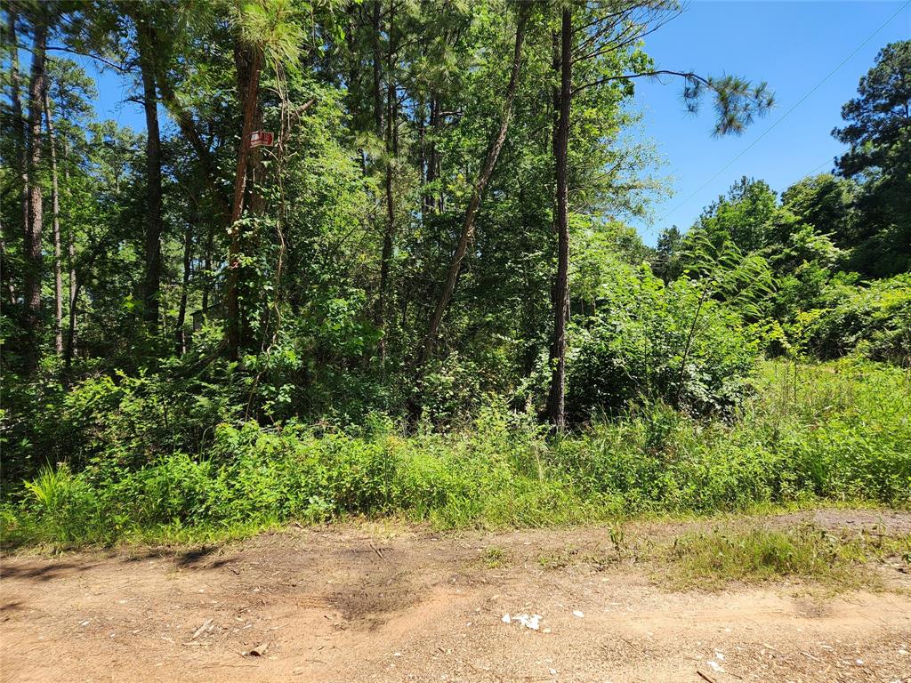 Lot 10 Cypress Court, Plantersville, Texas image 11