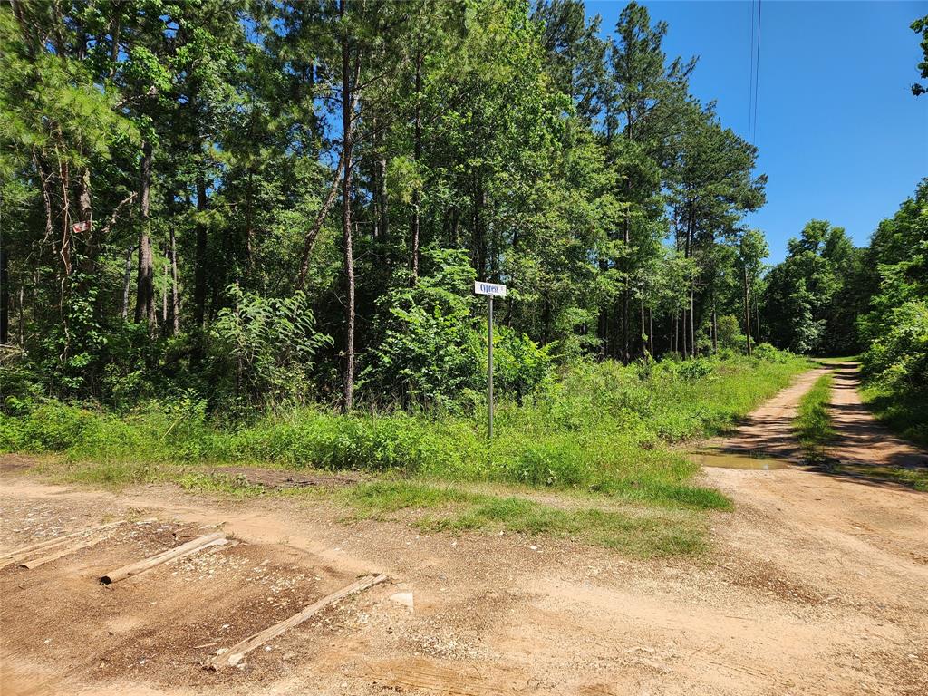 Lot 10 Cypress Court, Plantersville, Texas image 1