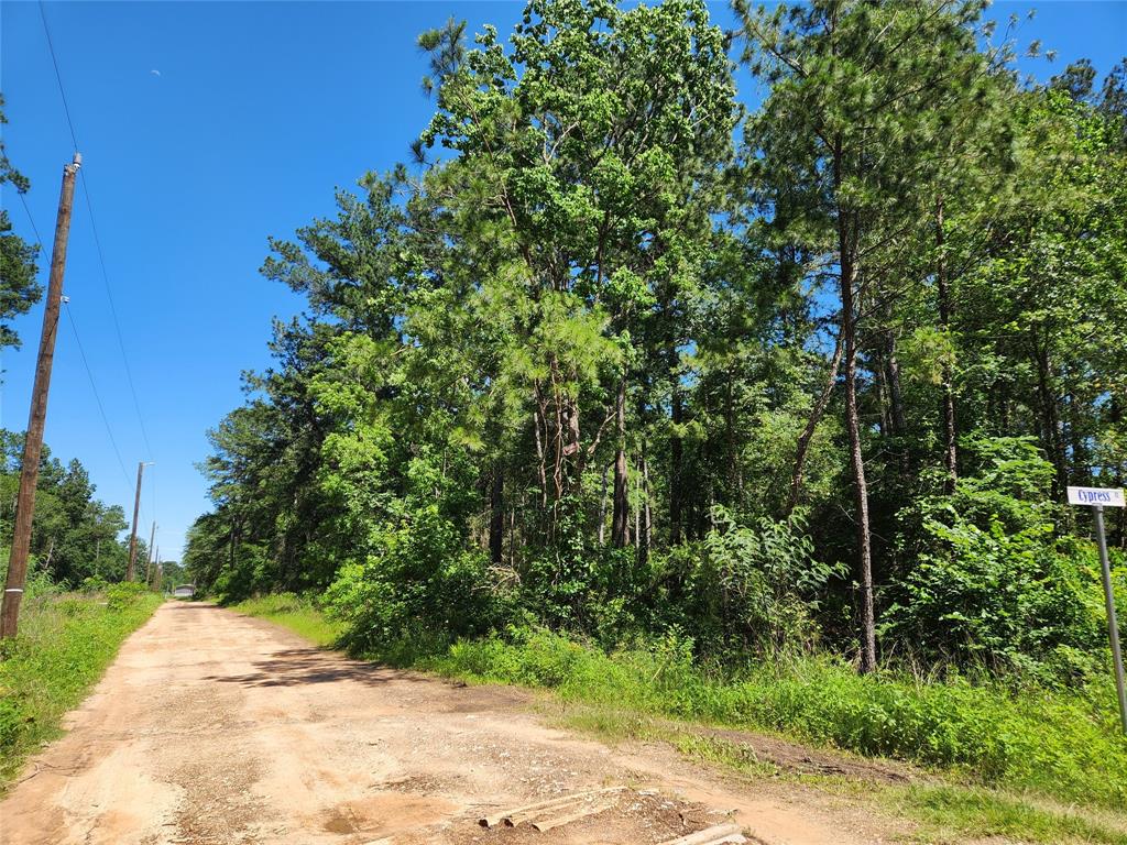 Lot 10 Cypress Court, Plantersville, Texas image 3