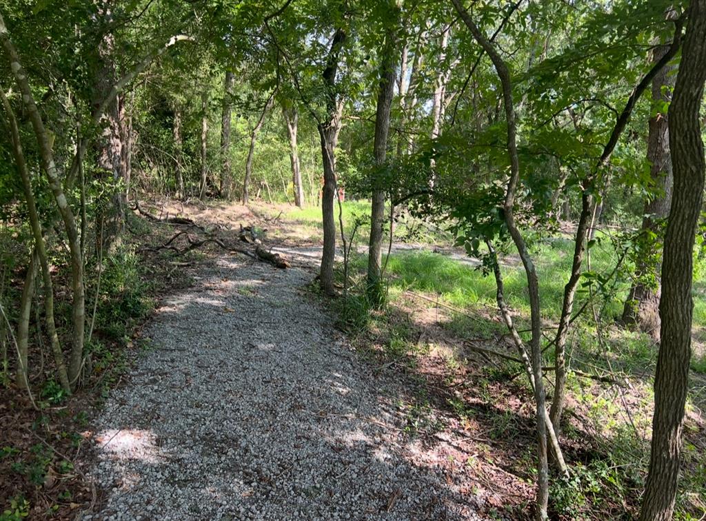 TBD LOTS 37&38 County Road 902