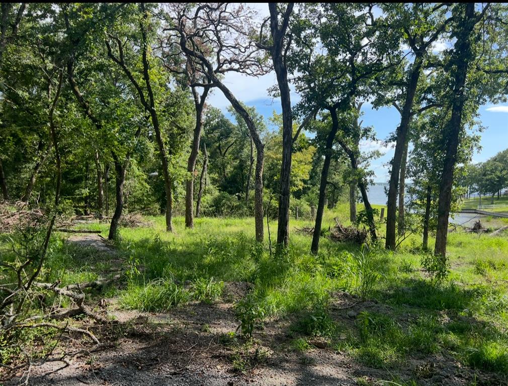 TBD LOTS 37&38 County Road 902