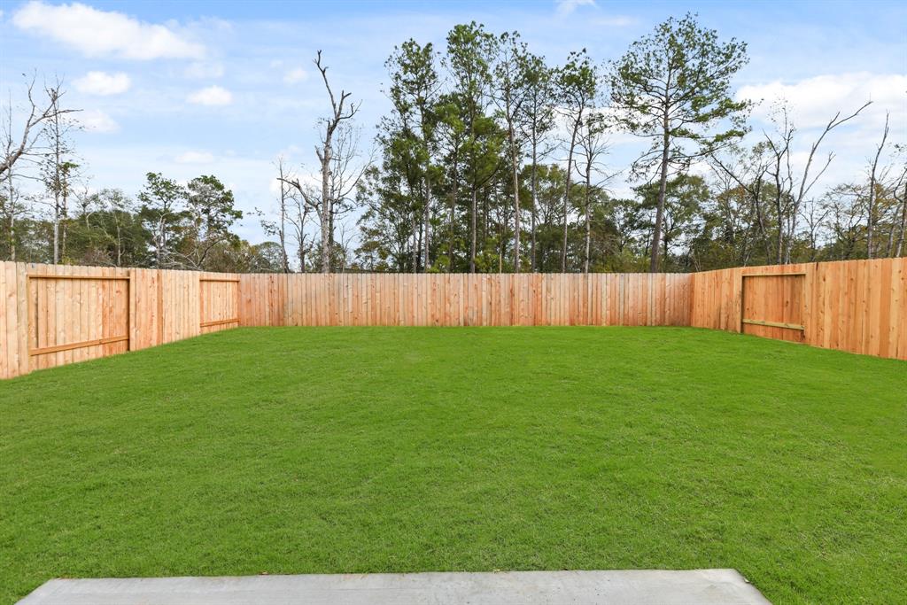 10743 Red Flagstone Drive, Conroe, Texas image 22