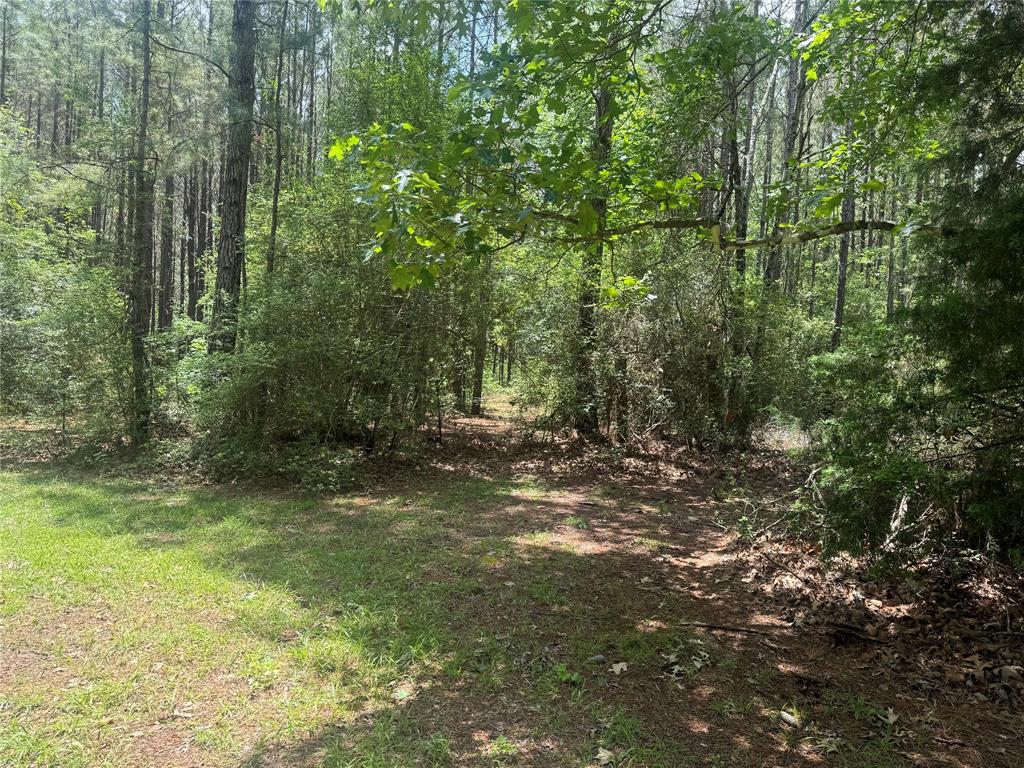 4891 Sunflower Road, Livingston, Texas image 18