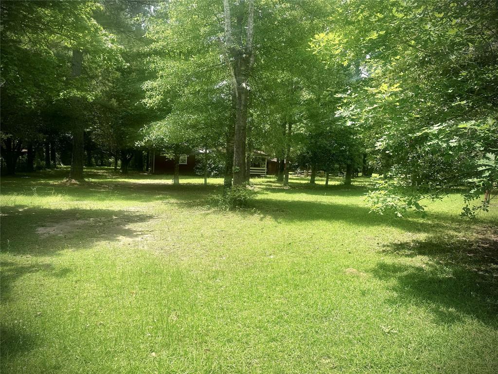 4891 Sunflower Road, Livingston, Texas image 3