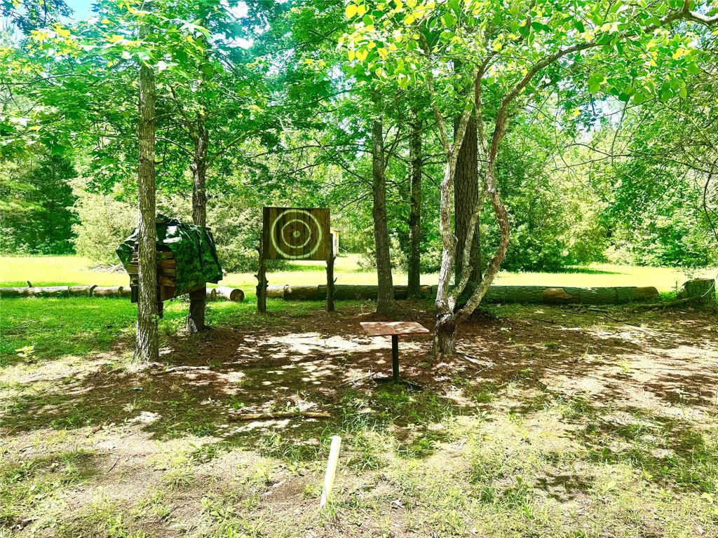 4891 Sunflower Road, Livingston, Texas image 12