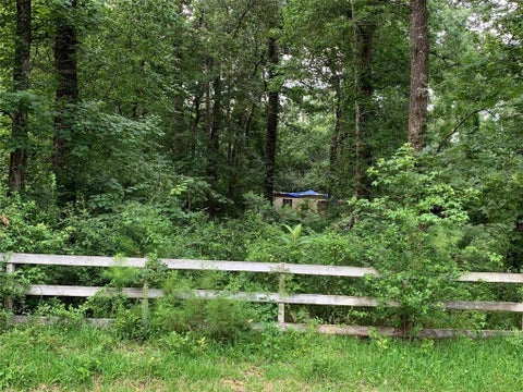 Vacant Land For Sale - 31110 Goldenrod Lane<br/> Magnolia, TX 77354
