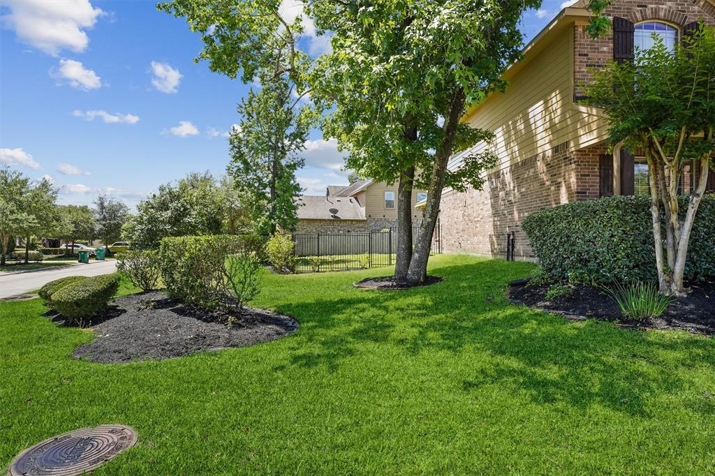 115 Black Swan Place