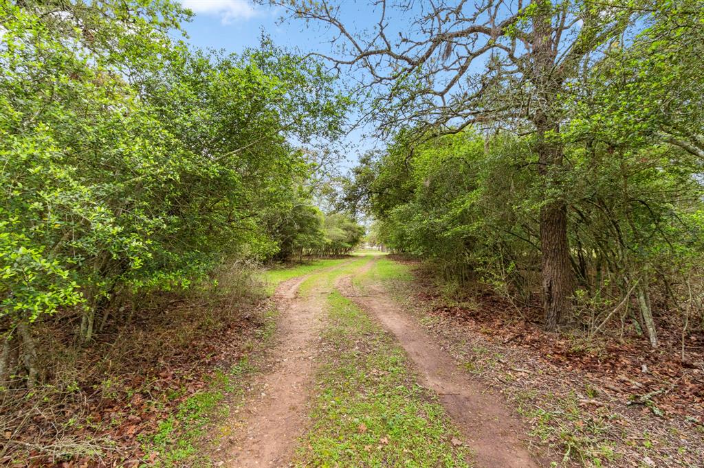 1031 Yearwood Lane, Columbus, Texas image 33