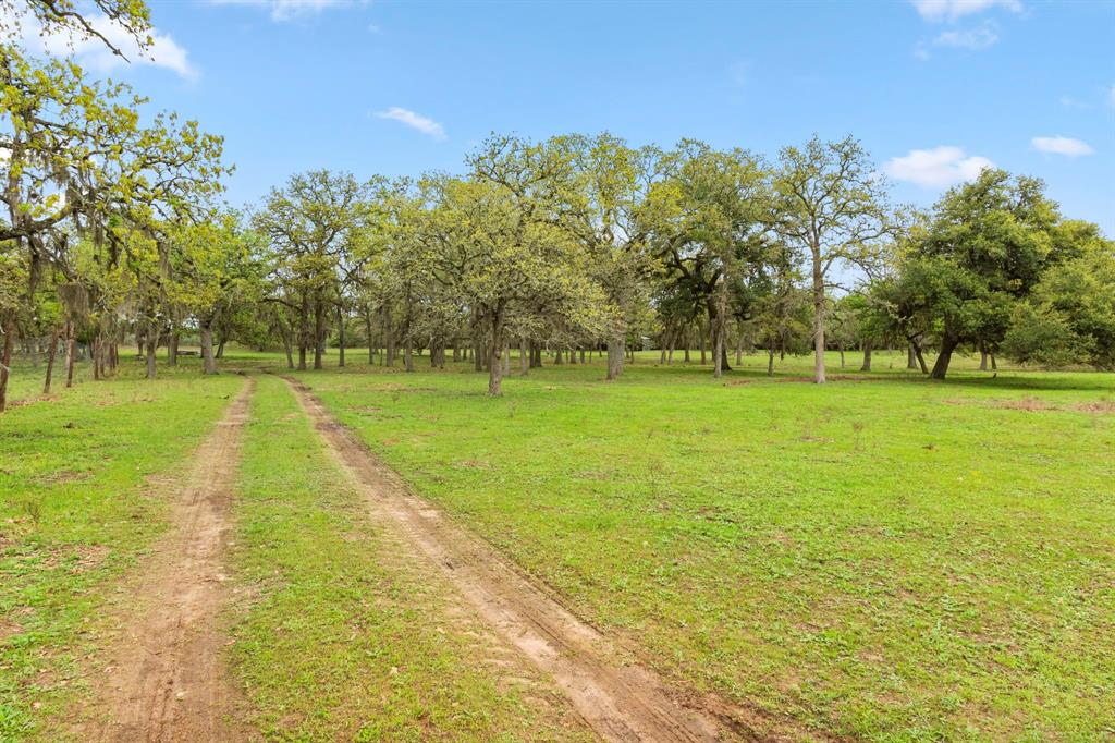 1031 Yearwood Lane, Columbus, Texas image 47