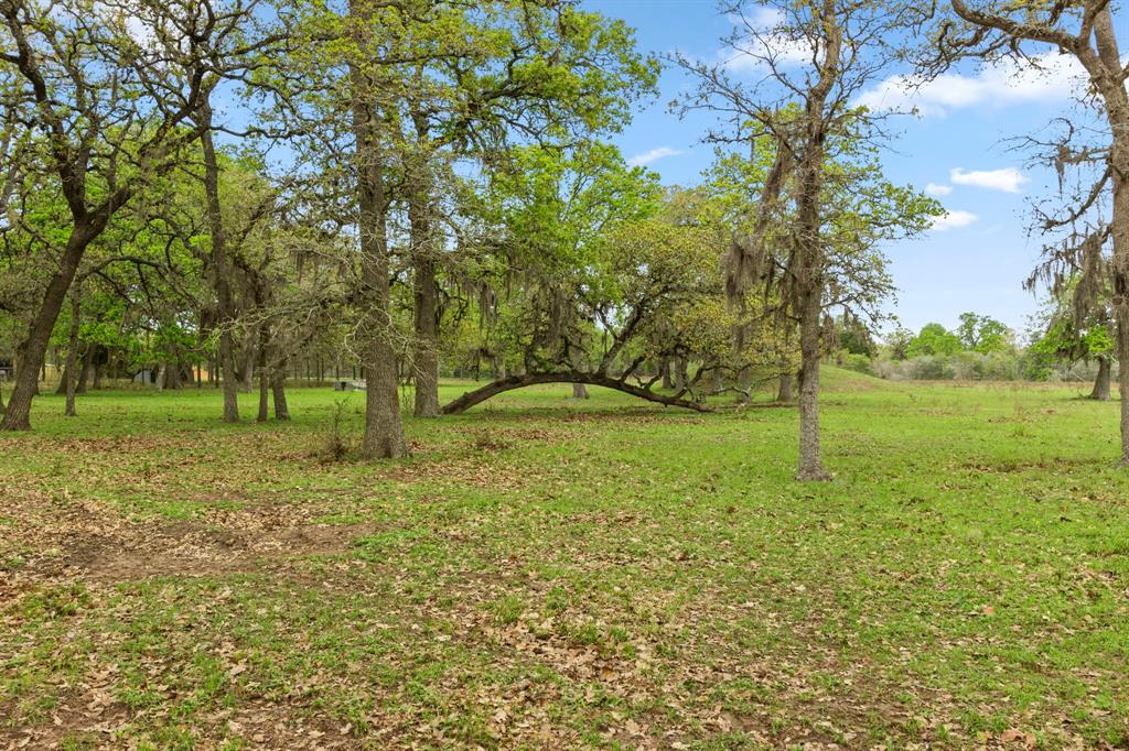 1031 Yearwood Lane, Columbus, Texas image 46