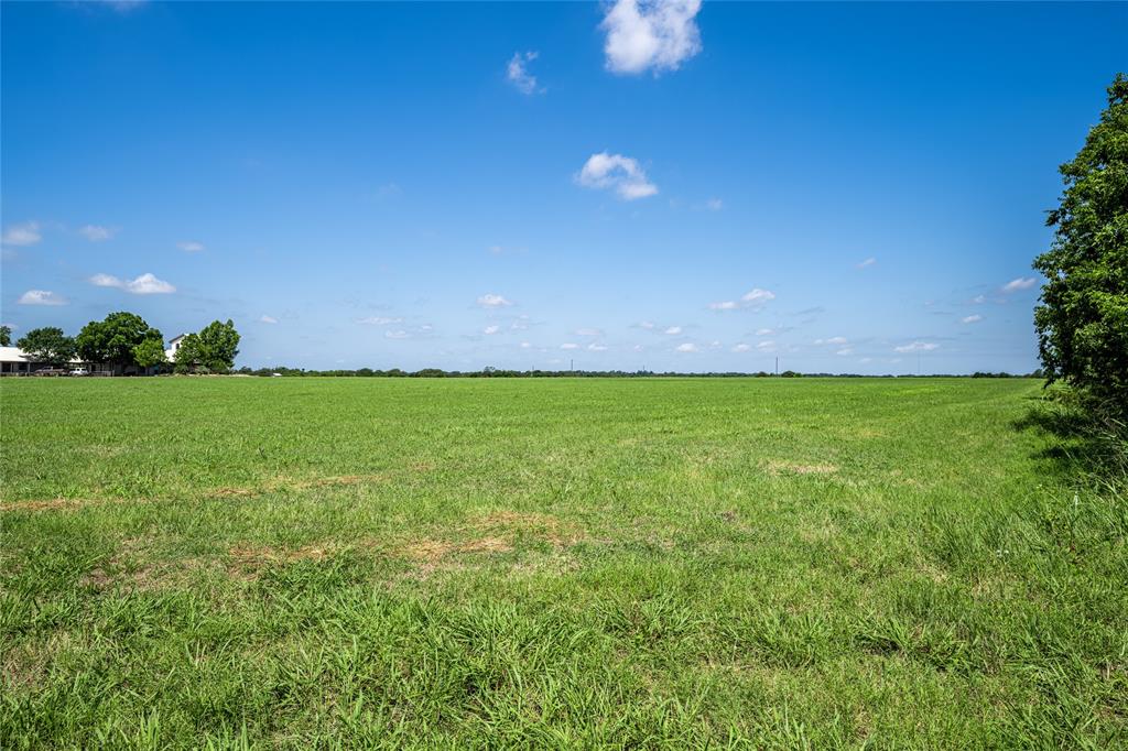 TBD - Tract 17 Blossom Hill Road, Round Top, Texas image 9