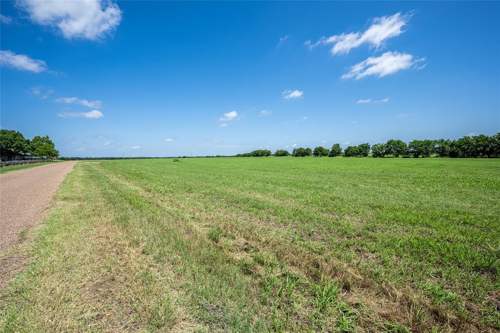 TBD - Tract 17 Blossom Hill Road, Round Top, Texas image 10