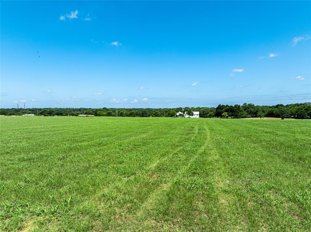 TBD - Tract 17 Blossom Hill Road, Round Top, Texas image 8