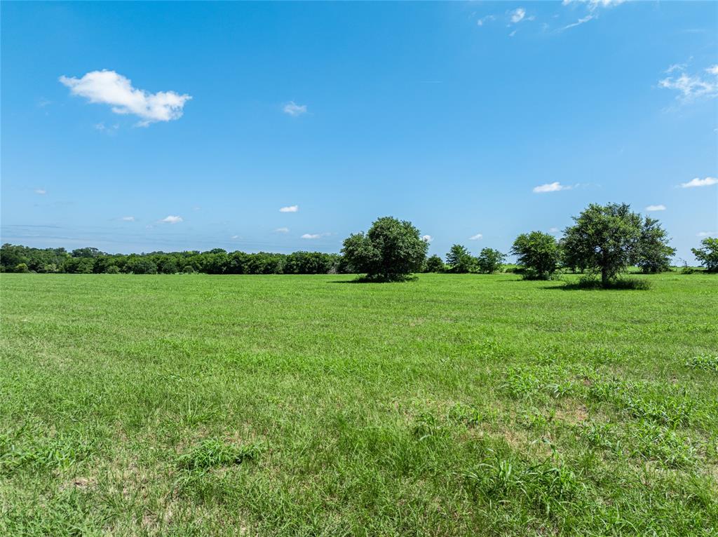 TBD - Tract 17 Blossom Hill Road, Round Top, Texas image 3