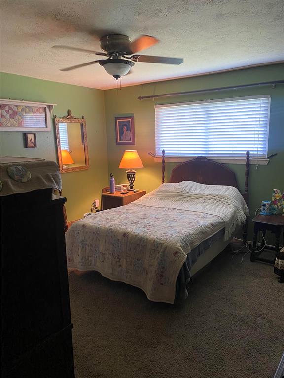 10106 Dover Hill Road, La Porte, Texas image 12