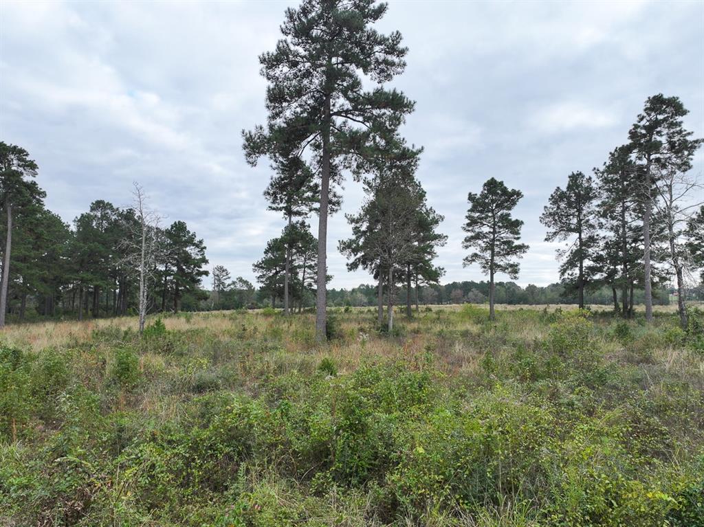 3 County Road 103a, Lufkin, Texas image 5