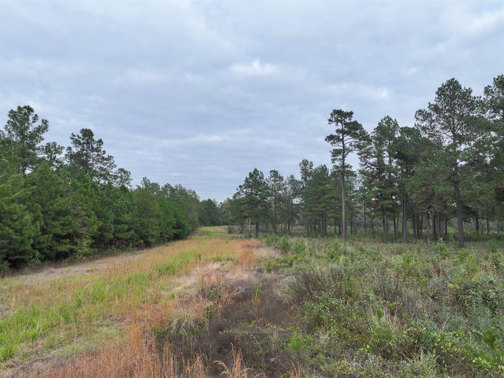 3 County Road 103a, Lufkin, Texas image 4