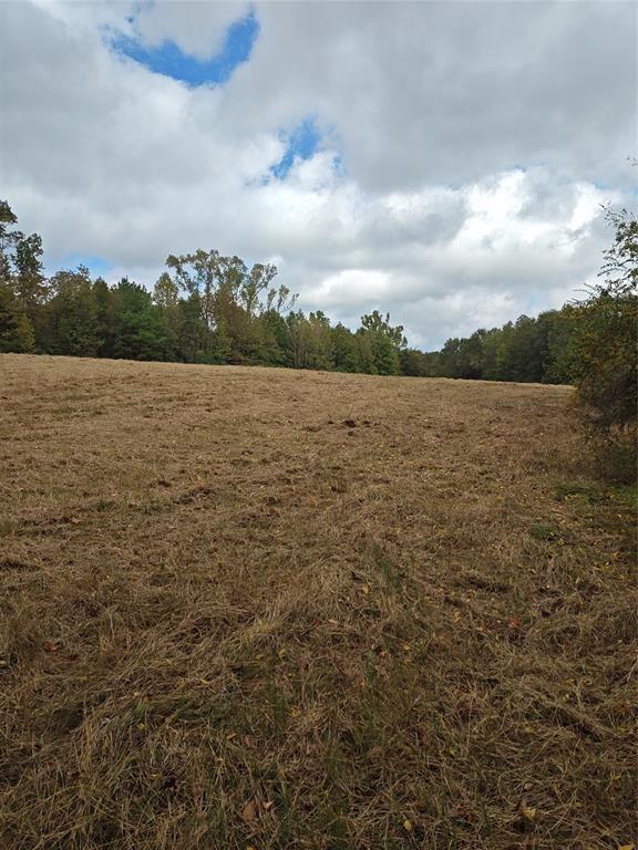 655 Hickey Road, Hallsville, Texas image 4