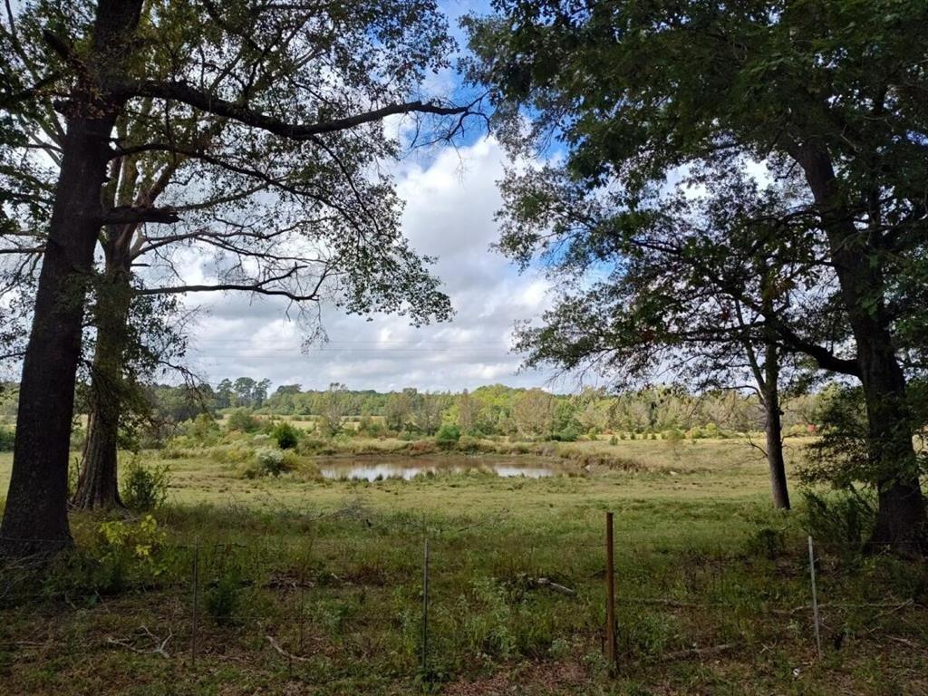 655 Hickey Road, Hallsville, Texas image 2